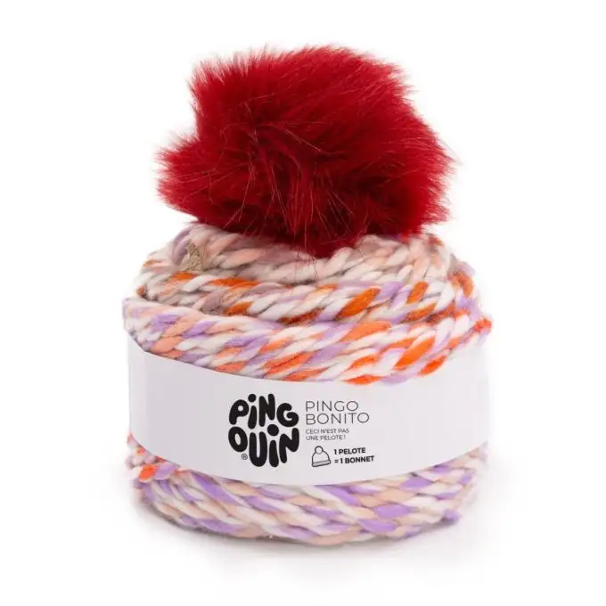 Gomitolo di filato per maglieria 1 berretto pompon Bonito multico prugna - Pingouin