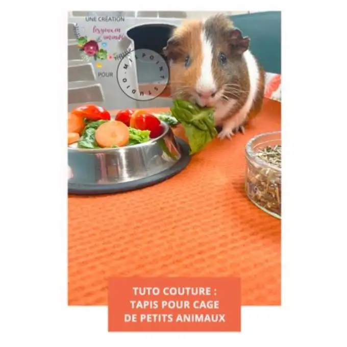 Modello TUTO Zorb Tappetino per gabbia piccoli animali