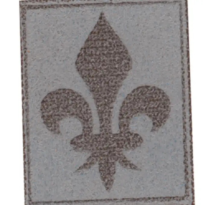 Écusson simili fleur de Lys