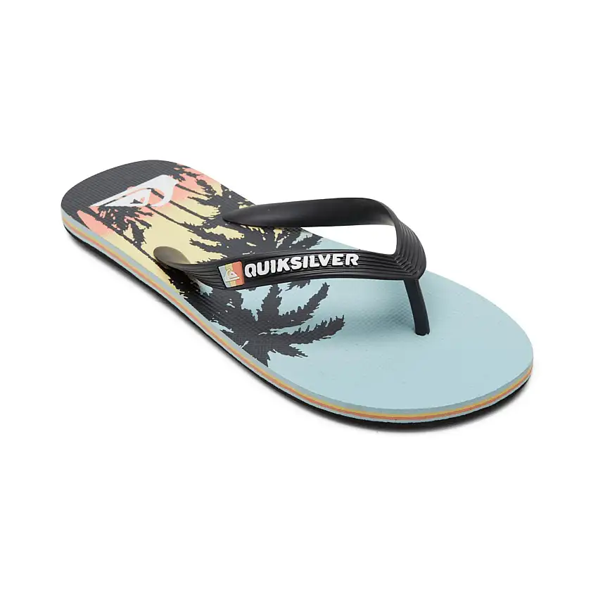 Infradito Quiksilver Molokai Art