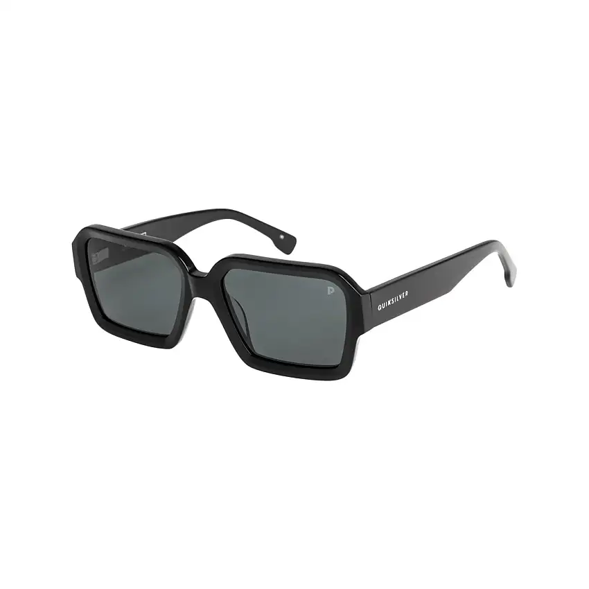 Occhiali da sole Quiksilver Monitor Polarized