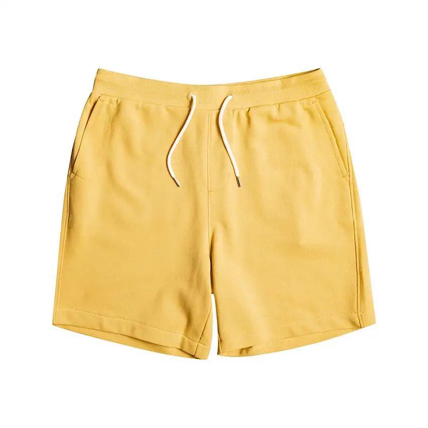 Shorts Quiksilver Essentials