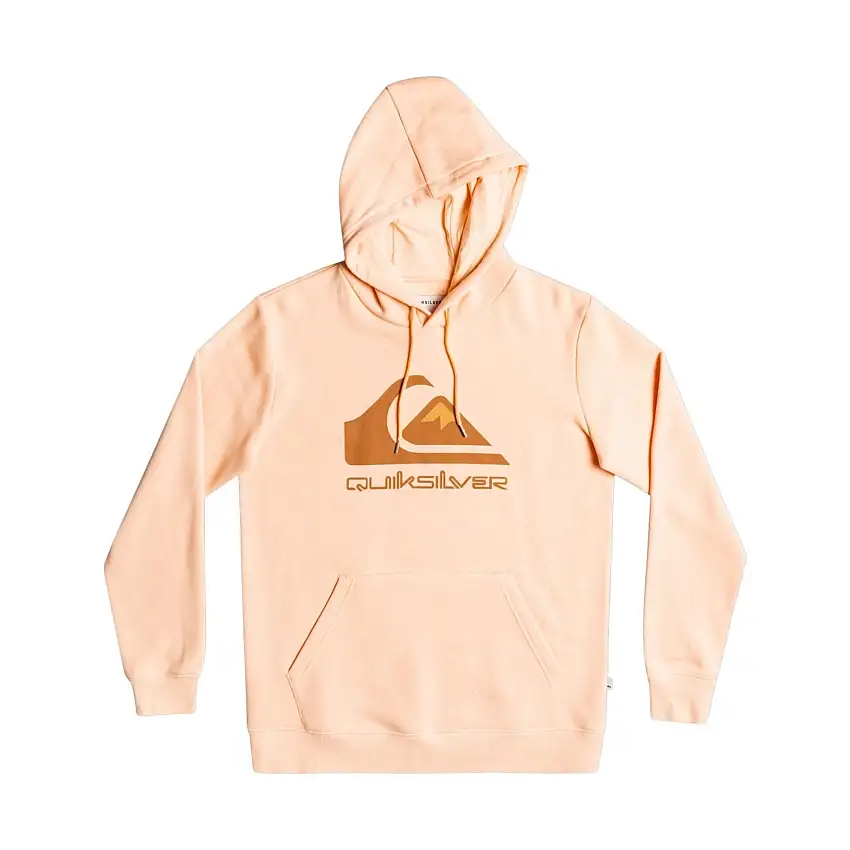 Felpa con cappuccio Quiksilver Big Logo