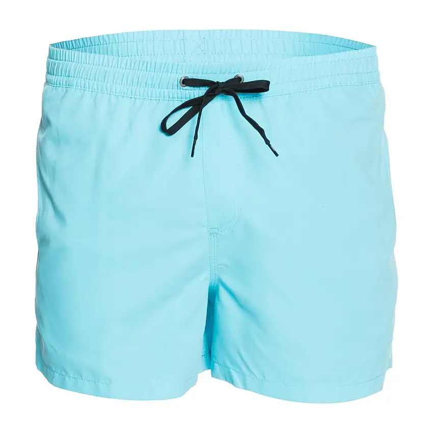 Custome da bagno uomo Quiksilver Everyday Volley 15